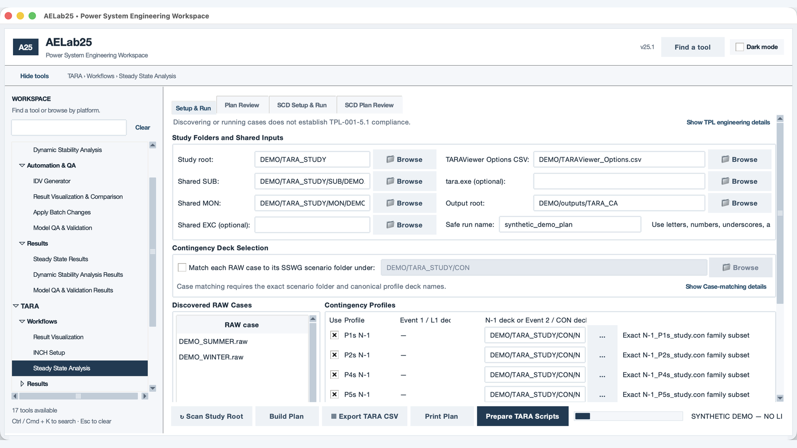 AELab25 TARA steady-state setup and run workspace with synthetic demo inputs